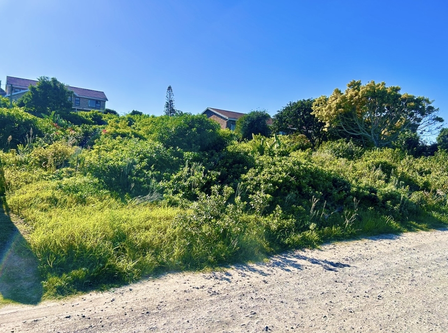 0 Bedroom Property for Sale in Forest Downs Eastern Cape